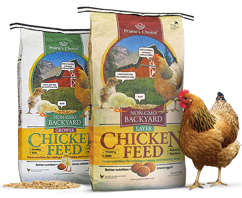 Bags of Non-GMO Chicken Feed